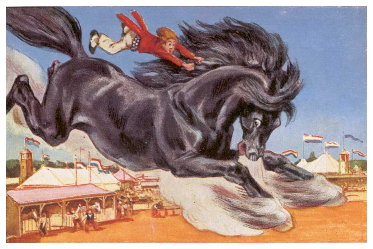 Auf wildem Zauberrappen · On The Wild Black Horse